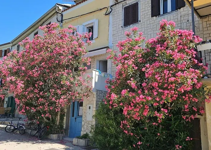 Amasing View From The White Terrase Casa vacanze